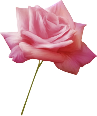 ������ɫõ�廨�廭PNG���ͼ