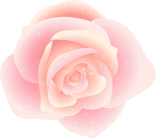 ���·�ɫõ�廨�廭PNG���ͼ