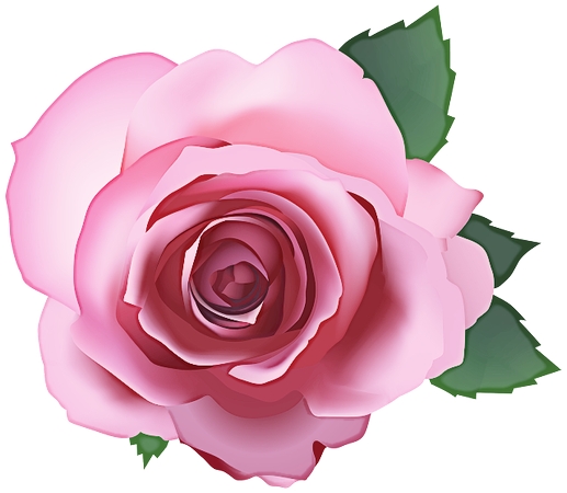 ������ɫõ�廨�廭PNG���ͼ