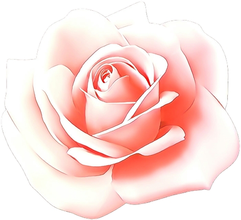 ������ɫõ�廨��PNG���ͼ