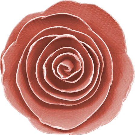 �����»����ɫõ�廨PNG���ͼ