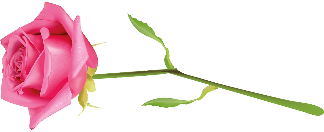 �������������ɫõ�廨�廭PNG���ͼ