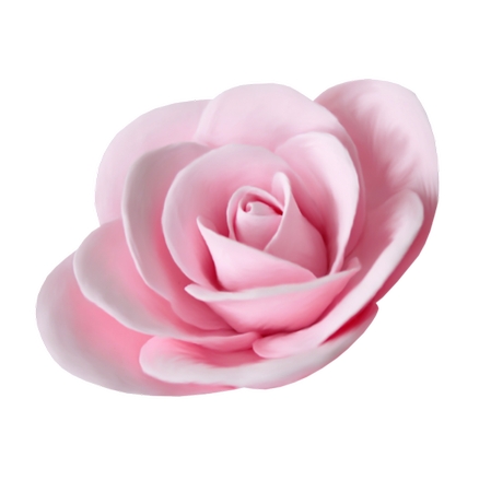 ʢ�����·�ɫõ�廨PNG���ͼ