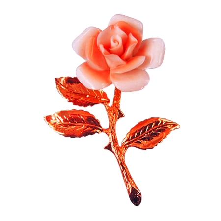 ���𾥷�ɫõ�廨��PNG���ͼ