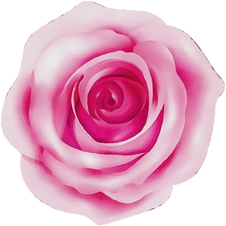 ������ɫõ�廨�廭PNG���ͼ