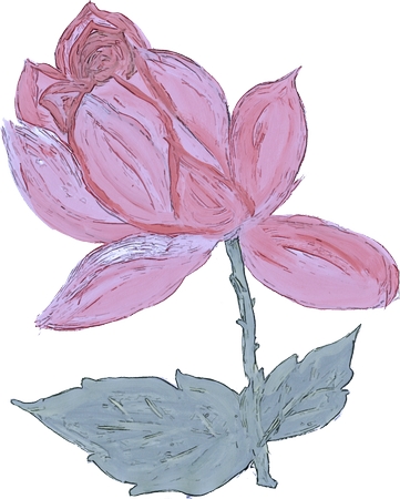 ��������ɫõ�廨�廭PNG���ͼ