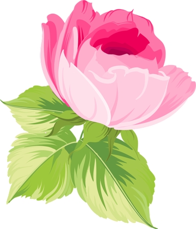 ������ɫõ�廨ֲ��ѧ�廭PNG���ͼ