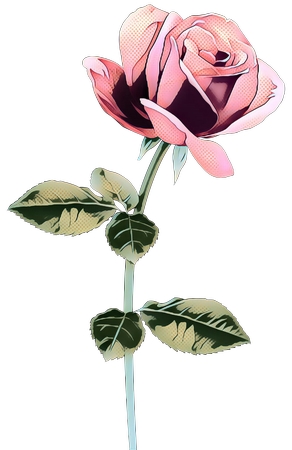 ��Ҷ�����ŷ�ɫõ�廨PNG���ͼ