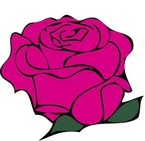 ��ɫõ�廨ֲ��ѧ�廭PNG���ͼ