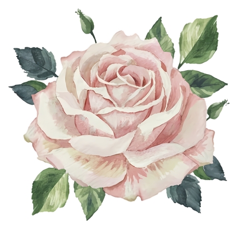 ��Ҷ�ӷ�ɫõ�廨�廭PNG���ͼ