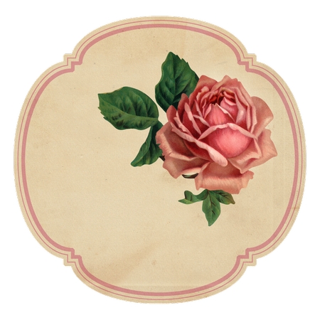 ���ŷ�ɫõ�廨�廭PNG���ͼ