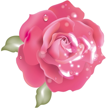 ������ϸ��������ɫõ�廨��PNG���ͼ