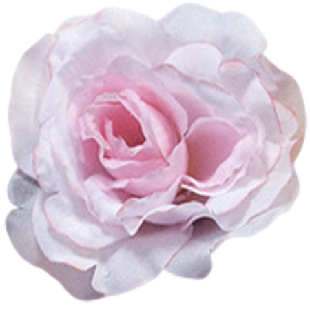 ����ͻ����ɫõ�廨��PNG���ͼ