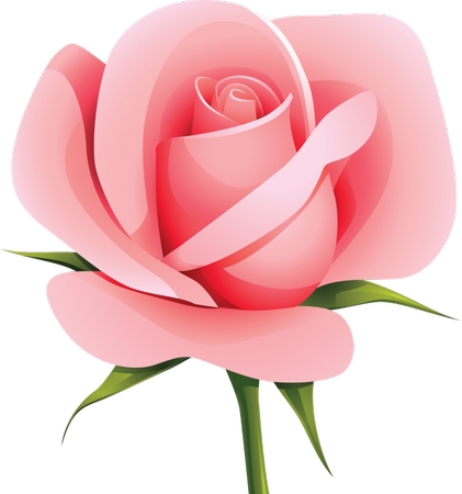 ���ŷ�ɫõ�廨��PNG���ͼ