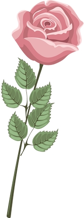 ����Ҷ��ɫõ�廨�廭PNG���ͼ