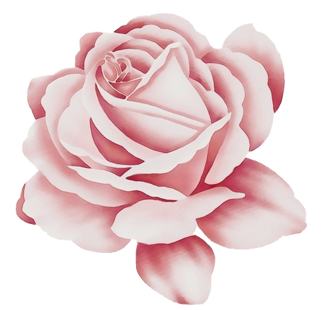 ���·�ɫõ�廨��廭PNG���ͼ