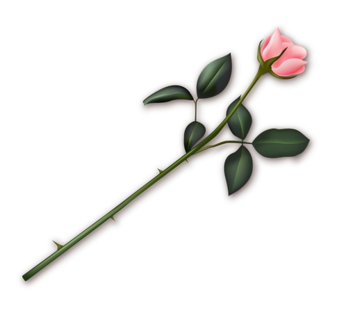 �����ɫõ�廨��PNG���ͼ