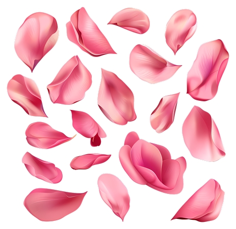 ��ɫõ�廨��PNG���ͼ