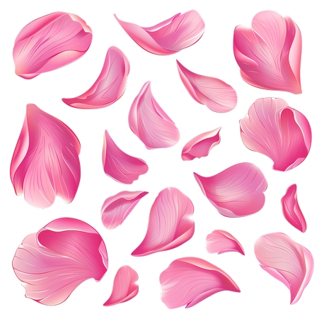 ����������Ʒ�ɫõ�廨��PNG���ͼ