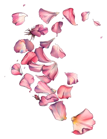 ɢ�侫�·�ɫõ�廨��PNG���ͼ