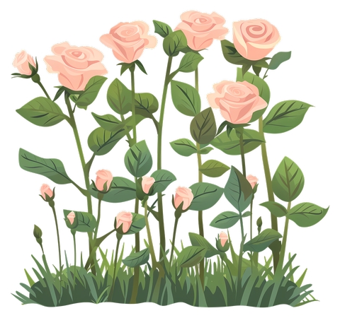 �����Ż����ɫõ�廨��ľPNG���ͼ