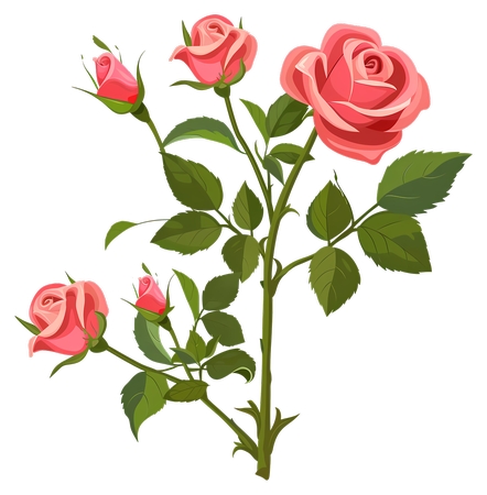 ��ɫõ�廨��ľ�廭PNG���ͼ