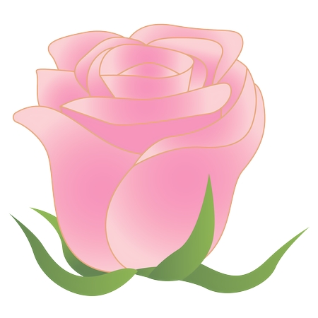 ������Ʒ�ɫõ�廨PNG���ͼ