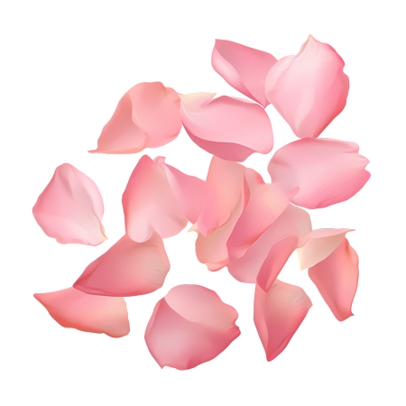 ��͹�ͼ��ɫõ�廨��PNG���ͼ