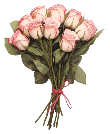 ���ŷ�ɫõ�廨��PNG���ͼ