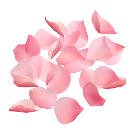 ����װ�η�ɫõ�廨��PNG���ͼ