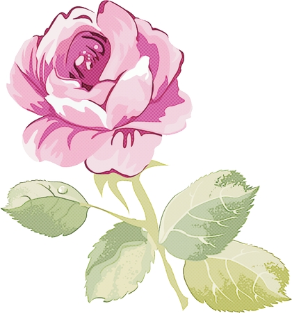 ��Ҷ�Ӿ��·�ɫõ�廨�廭PNG���ͼ