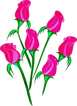 ������ɫõ�廨�廭PNG���ͼ