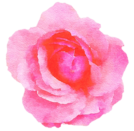 ��ɫˮ��õ�廨�廭PNG���ͼ