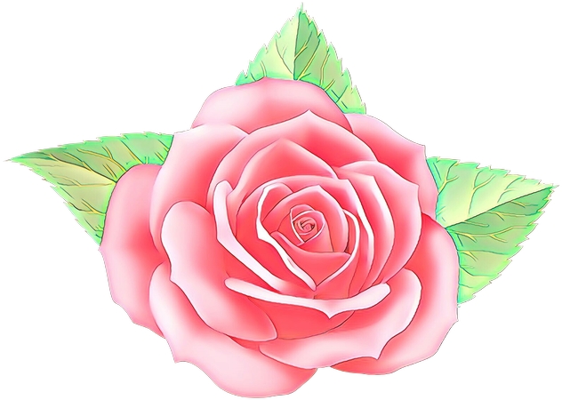 ��ɫõ�廨��廭PNG���ͼ