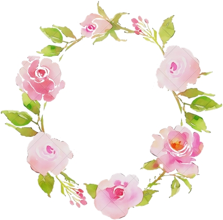 ˮ��õ�廨��PNG���ͼ