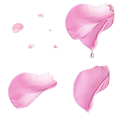 װ�η���ɫõ�廨��PNG���ͼ