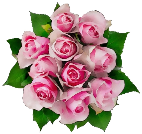 ����Ҷ������ɫõ�廨��PNG���ͼ