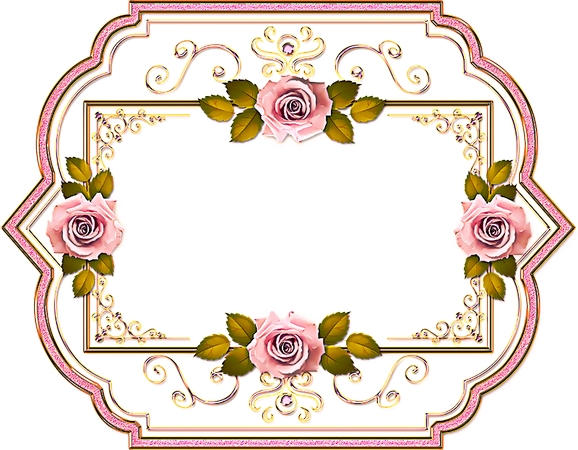 ��װ�α߿����ŷ�ɫõ�廨���PNG���ͼ