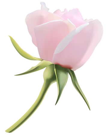 ���������ɫõ�廨�廭PNG���ͼ