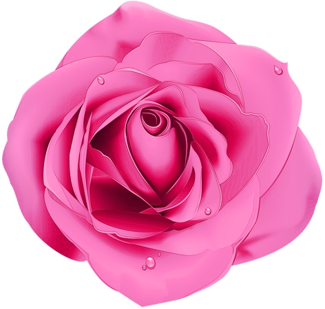 ��ɫõ�廨��廭PNG���ͼ