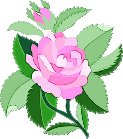 ��Ҷ�Ӿ��·�ɫõ�廨�廭PNG���ͼ