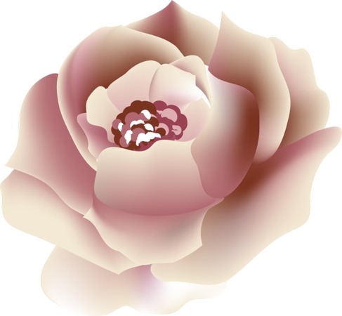 �����»���ǳ��ɫõ�廨PNG���ͼ