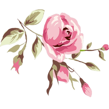 ���·�ɫõ�廨�廭PNG���ͼ