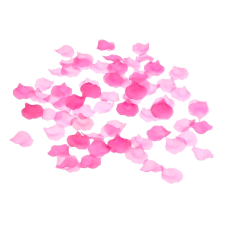 װ����������ɫõ�廨��PNG���ͼ