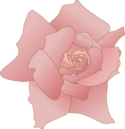 ������ϸ�ھ��·�ɫõ�廨�廭PNG���ͼ