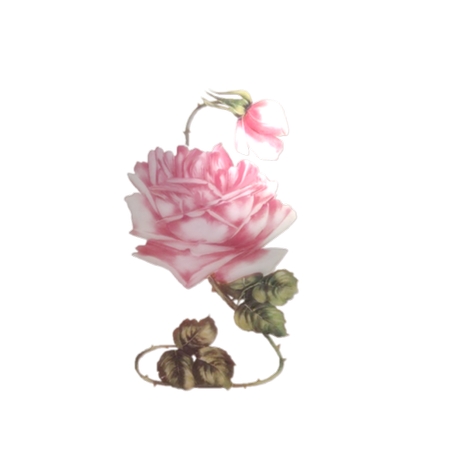 ����Ҷ�Ӿ��·�ɫõ�廨�廭PNG���ͼ
