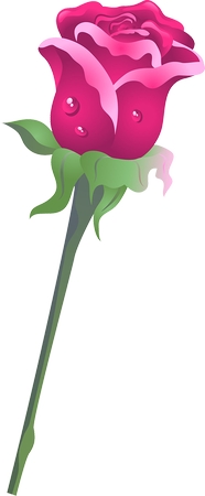 �����Ϸ�ɫõ�廨�廭PNG���ͼ