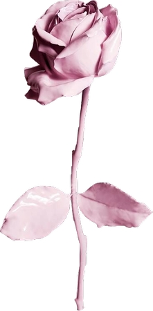 ��ͷ�ɫõ�廨��廭PNG���ͼ