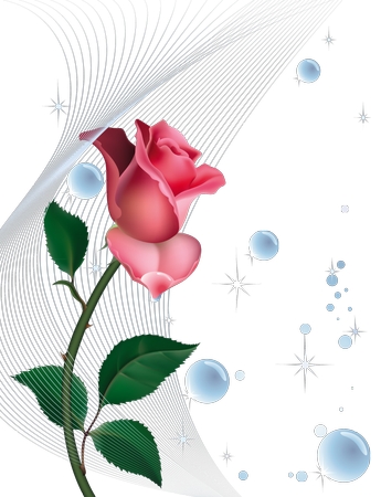 ������������ɫõ�廨�廭PNG���ͼ