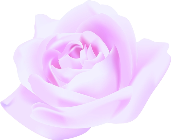 ���·�ɫõ�廨��PNG���ͼ